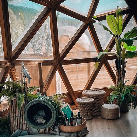 Bubble Suites كانييلس المظهر الخارجي الصورة