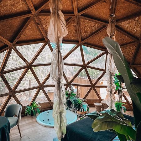 Bubble Suites كانييلس المظهر الخارجي الصورة